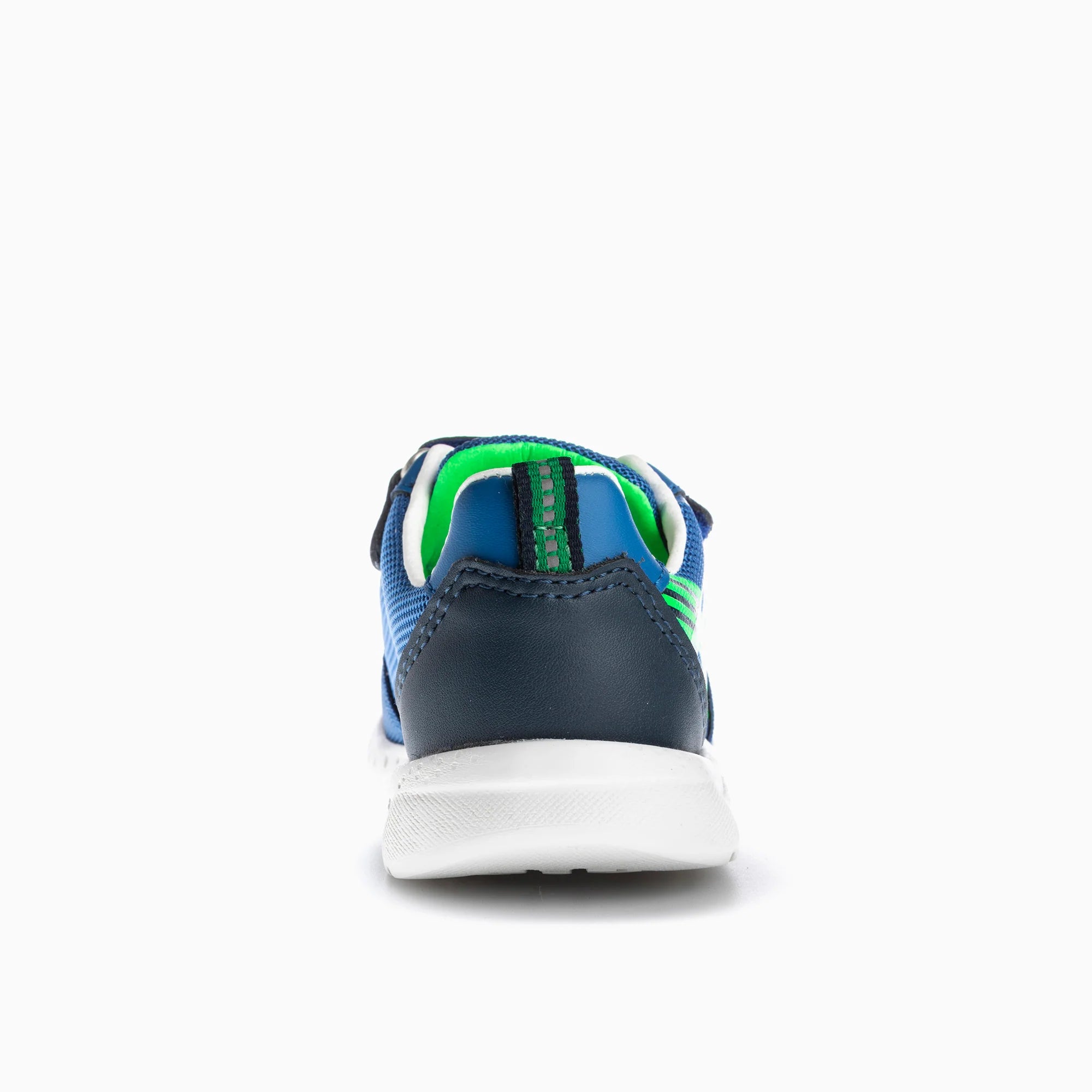 XANDAR 296440