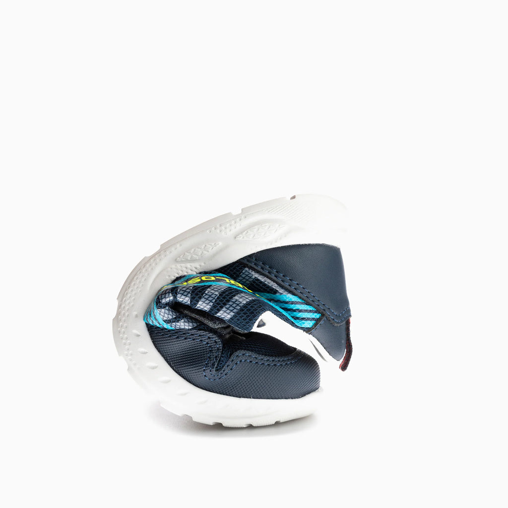 XANDAR 296420