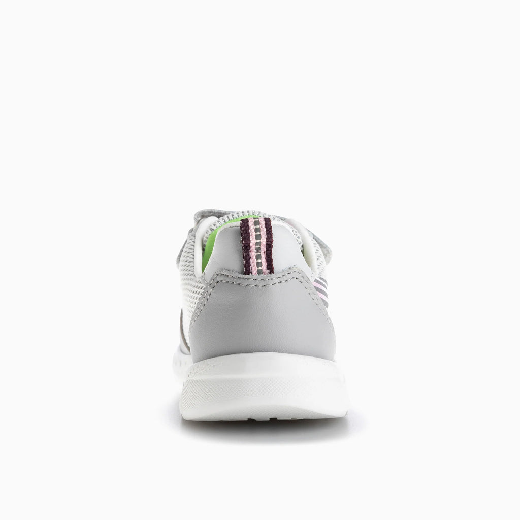XANDAR 296550