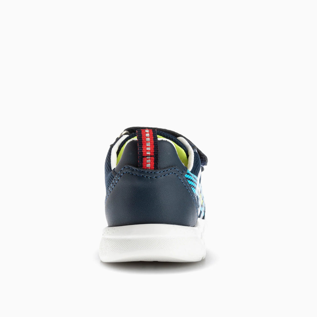 XANDAR 296420