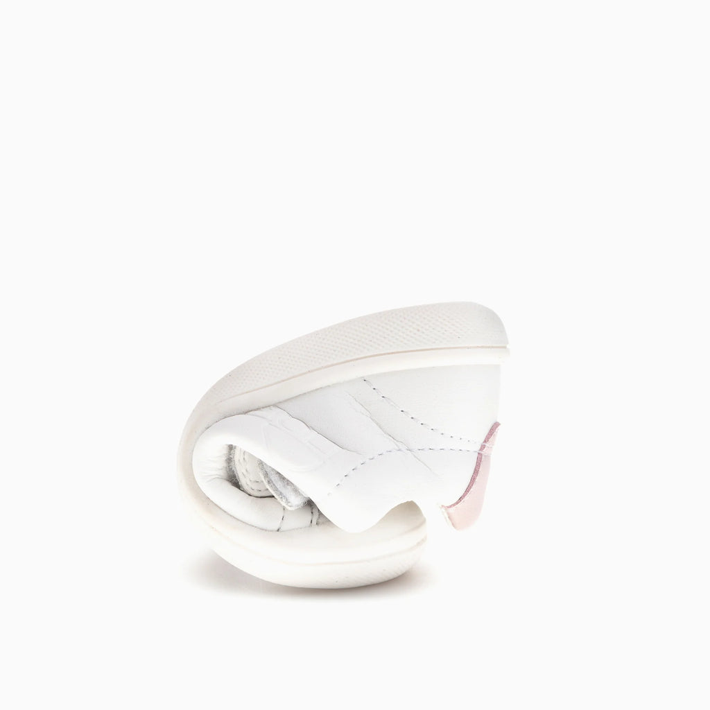 ARCA 048506